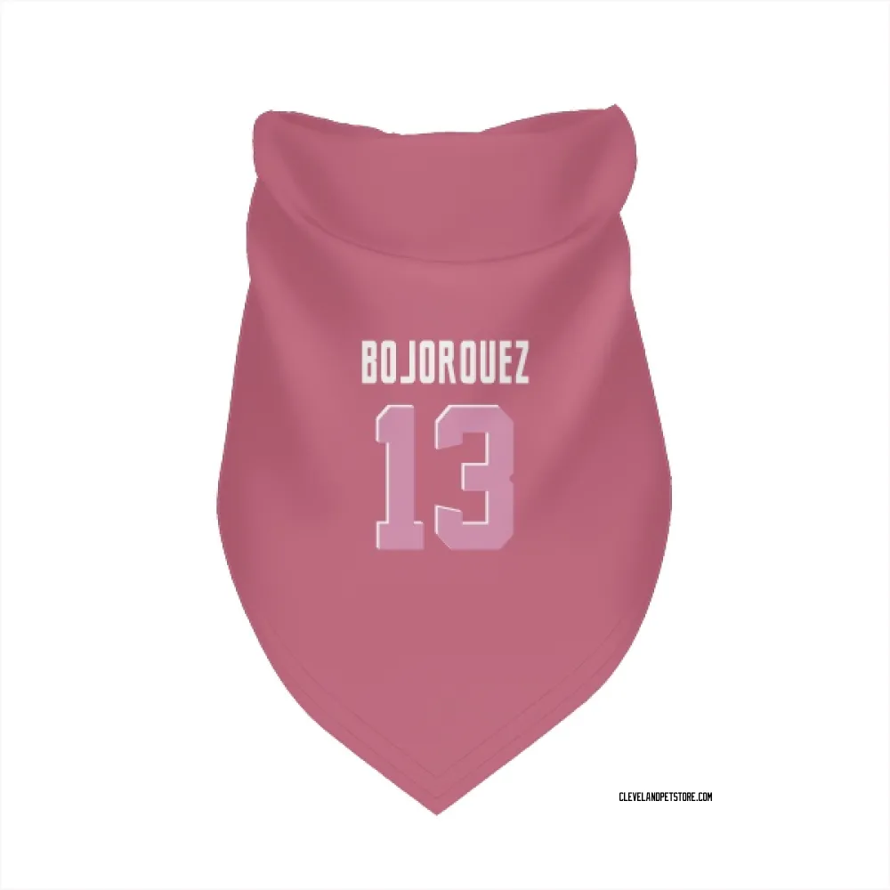 Cleveland Browns Corey Bojorquez Pink Pet Bandana for Dog & Cat