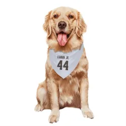 Cleveland Browns Harold Fannin Jr. White Pet Bandana for Dog & Cat