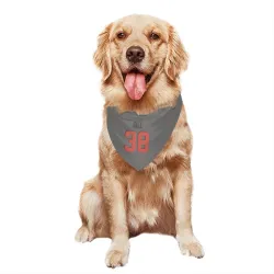 Cleveland Browns Jaelen Gill Gray Pet Bandana for Dog & Cat