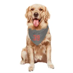 Cleveland Browns Michael Coats Jr. Gray Pet Bandana for Dog & Cat