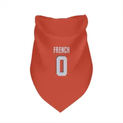 Cleveland Browns Wesley French Orange Pet Bandana for Dog & Cat